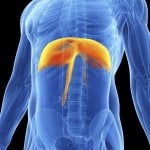 Conscious Posture Block Therapy Conscious Posture