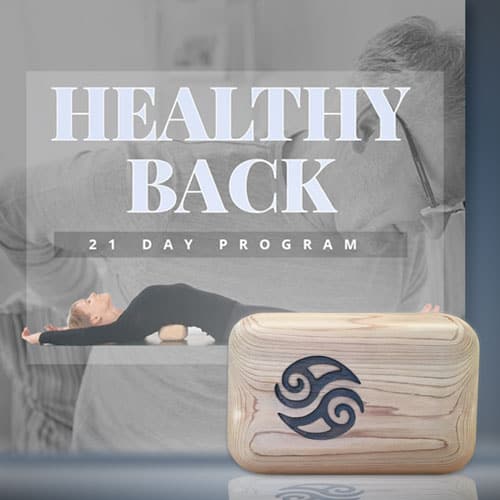 Block Therapy 21 Days to a Healthy Back with Block