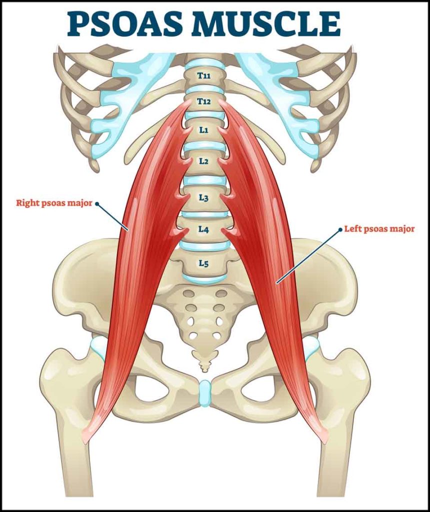 Aligning Your Psoas – Be the Driver of Your Reality – Block Therapy