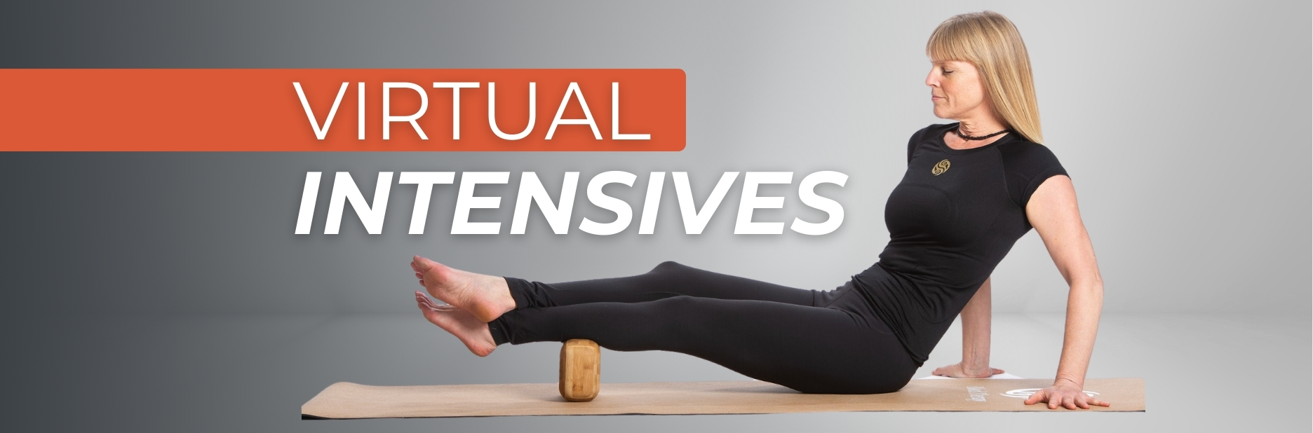 Virtual Intensives Videos