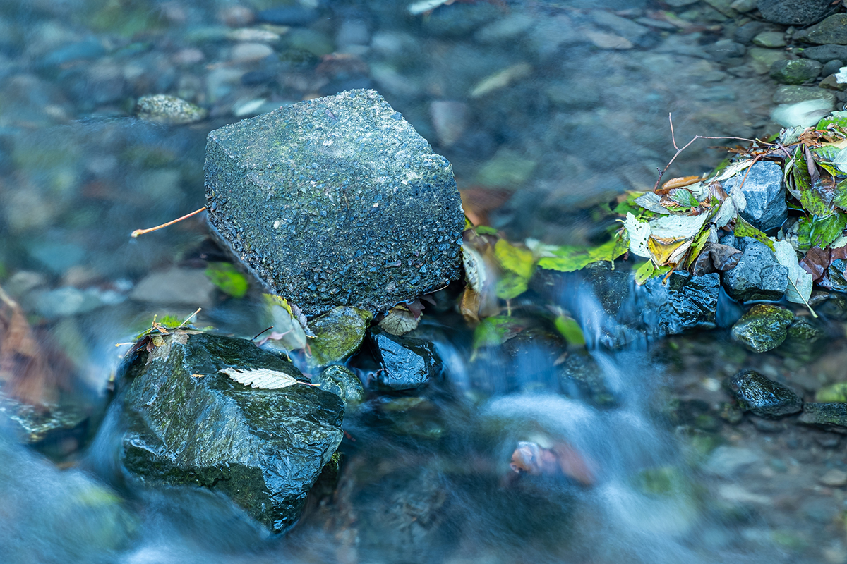 Tongue-Locked-Tension